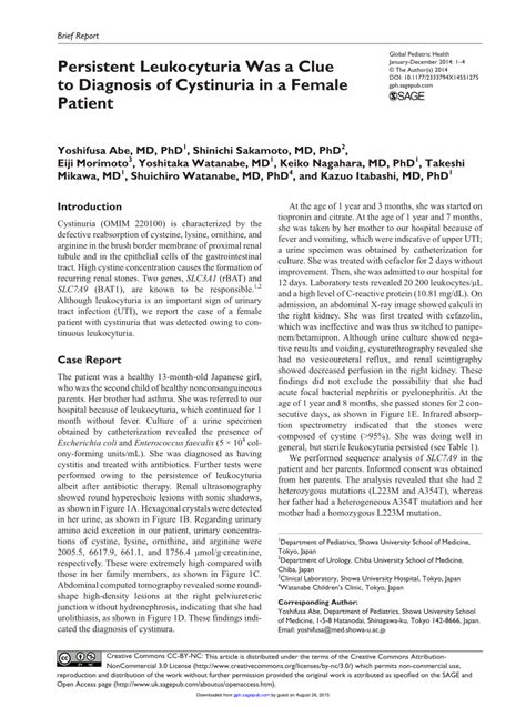 (PDF) Persistent Leukocyturia Was a Clue to Diagnosis of Cystinuria in a Female Patient