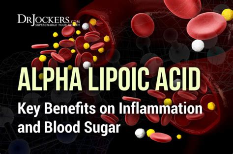 Alpha Lipoic Acid: Key Benefits on Inflammation and Blood Sugar