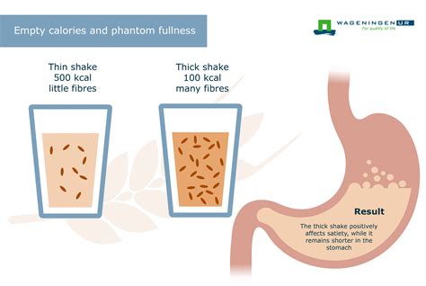 How do you know when your stomach is empty? – Fabalabse