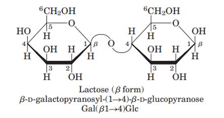 Bio Gallery: Lactose structure