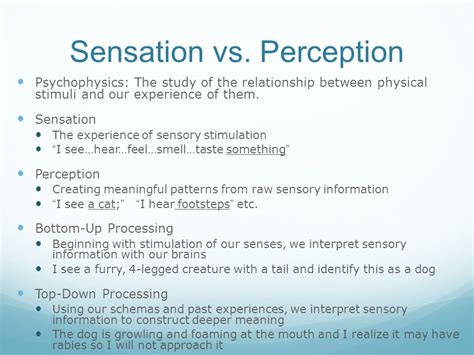 Sensation And Perception Examples - cloudshareinfo