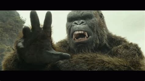 King Kong Vs Godzilla Meme Pin By Boosta Stanaway On (02.) Godzilla Vs ...