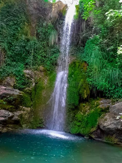 A waterfall in the valley stock image. Image of jungle - 264820741