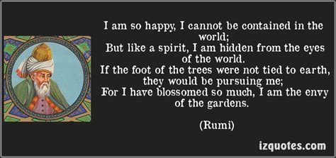 Rumi Quotes About Happiness. QuotesGram