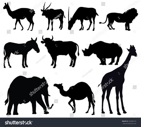 Zoo Animals Vector Silhouette Collection Stock Vector 566989153 ...