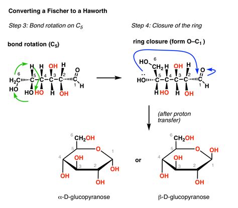 Converting a Fischer Projection To A Haworth (And Vice Versa)