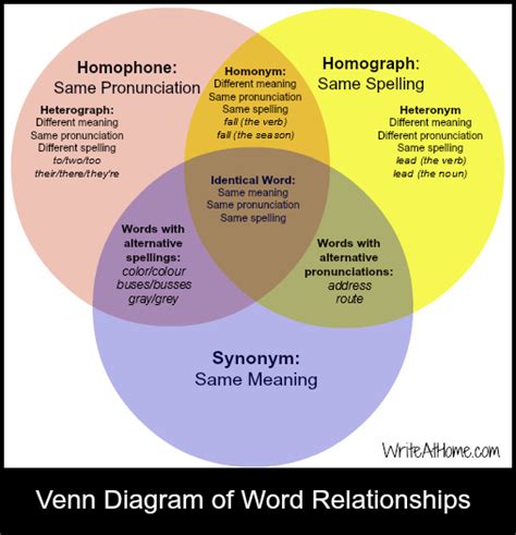 Homonym,homophones and homographs | dunia blog