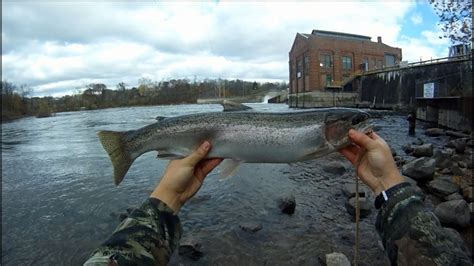 Berrien Springs Fishing 11/10/13 - YouTube