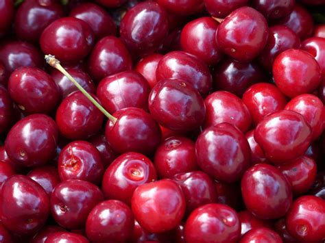 Bing Cherry Tree - Grow the worlds favorite sweet cherry, right at hom – Online Orchards