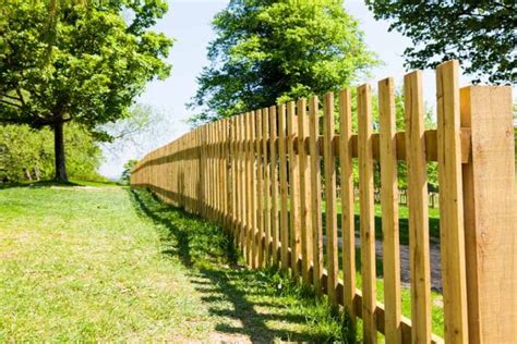 Pressure Treated Fence (Designs & Pros and Cons)