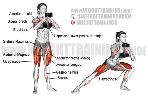 Dumbbell side lunge exercise instructions and video