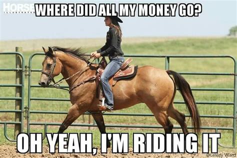 I'm broke but my horse is happy - Horses Funny - Funny Horse Meme - #horsememe #horse # ...