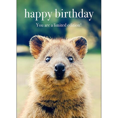 M084 - Happy Birthday. You Are A Limited Edition! - Animal Greeting Card | Affirmations ...