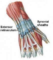 Wrist Extensor Retinaculum Injury