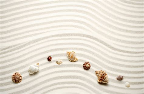 beach sand sea shell wallpaper 5 - HD Wallpaper