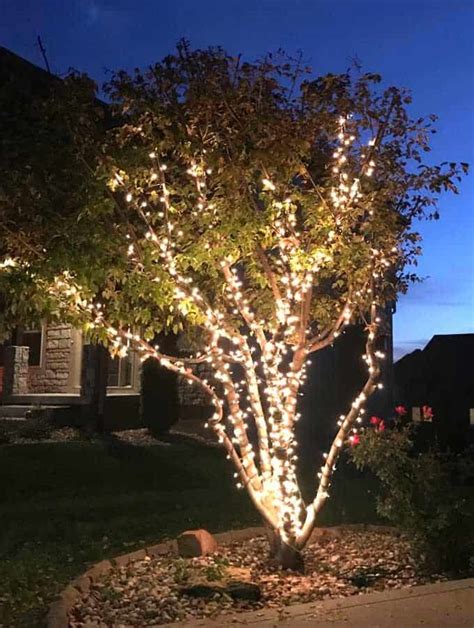 Wrap Lights on an Outdoor Tree in 6 Easy Steps ⋆ Love Our Real Life