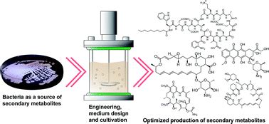 Metabolic engineering with systems biology tools to optimize production of prokaryotic secondary ...