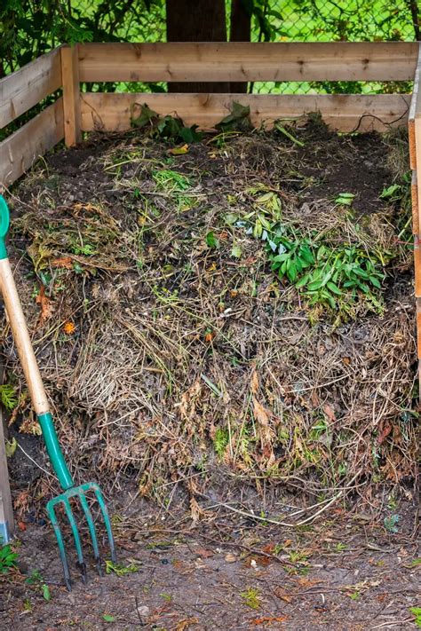 The 5 Best Composts For the Garden - Cedar Homestead