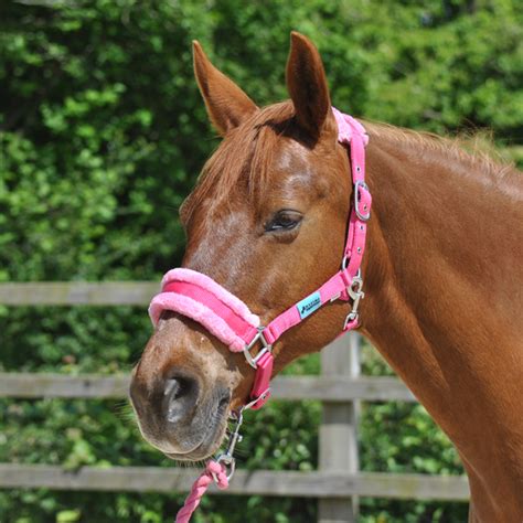 PINK DELUXE HEADCOLLAR WITH LEADROPE - Maxima Equestrian