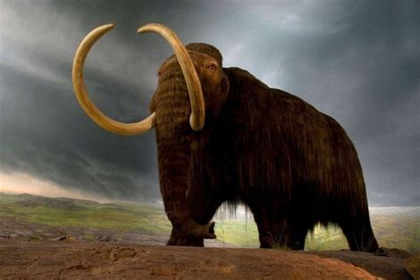 5 Incredible Ice Age Mammals Who Ruled Before Us - Procaffenation