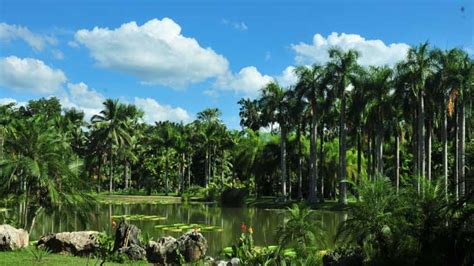 Xishuangbanna Tropical Botanical Garden – Wendy Wei Tours