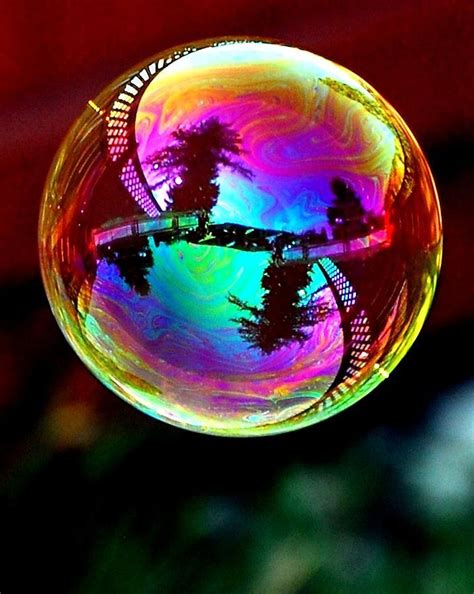 Reflection on a Bubble by Don Mann | Bubbles photography, Reflection ...