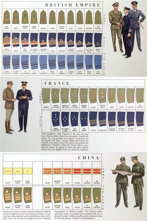 Uniform insignia of various Allied forces. | Military insignia, Military ranks, Military history