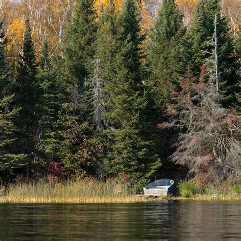 Premium Photo | Rowboat at the lakeside, kenora, lake of the woods, ontario, canada