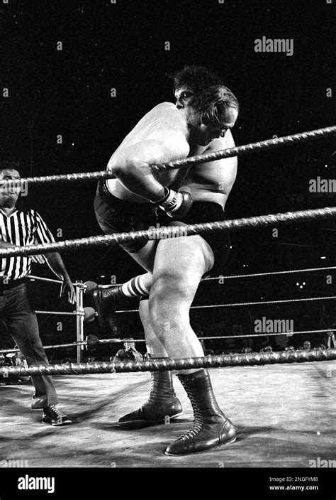 Professional wrestler Andre the Giant tosses heavyweight contender Chuck Wepner out of the ring ...