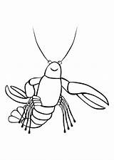 Printable Lobster Coloring Page sketch template