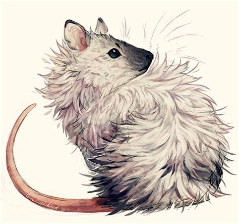 Cute Animal Drawings, Cute Drawings, Animal Sketches, Fantasy Creatures ...