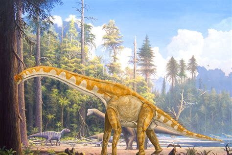 Paleontologists Explain Evolution of Sauropod Dinosaurs | Paleontology ...