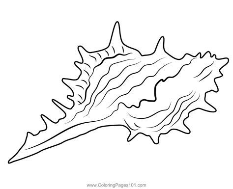 Sea Shell Coloring Page for Kids - Free Seasons Printable Coloring ...