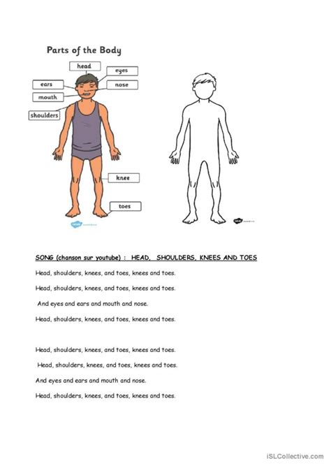 Head, shoulders, knees and toes son…: English ESL worksheets pdf & doc