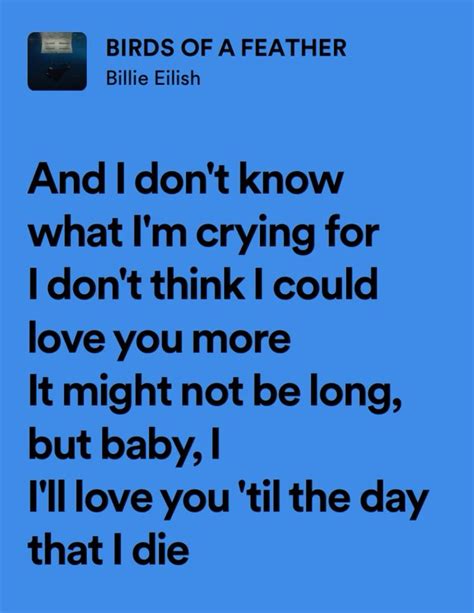 birds of a feather - billie eilish in 2024 | Pretty lyrics, Blue song lyrics, Meaningful lyrics