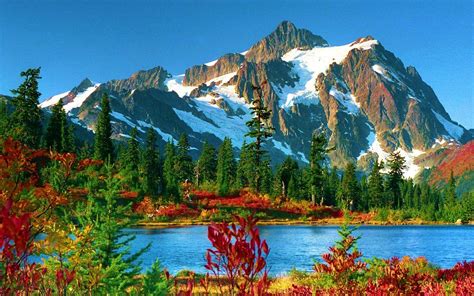 Mount Baker Snoqualmie National Forest Hd Wallpaper 584053 : Wallpapers13.com