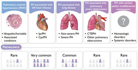 Revised Definition of Pulmonary Hypertension and Approach to Management: A Clinical Primer ...