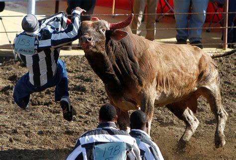 The Truth Behind Louisiana's' Gruesome Angola Prison Rodeo