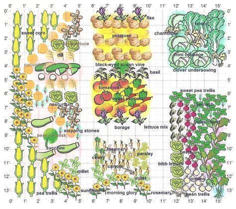 Printable Succession Planting Chart Succession Planting Is An Excellent ...