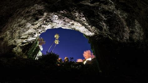 Umpherston Sinkhole Sunken Garden Is A Hidden Wonder | ellaslist