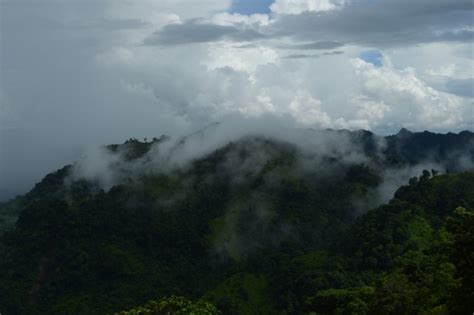 Nature reclaims Bandarban tourist spots in absence of visitors