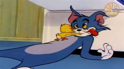 كرتون توم وجيري 2020 | Tom & Jerry Classic Cartoon - YouTube