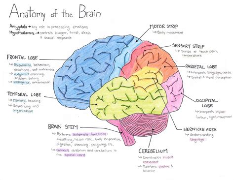 Psychology One Pager Mind Map Psychology One Pager Mind Map - Bank2home.com