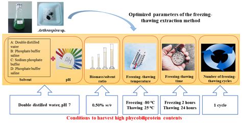 Molecules | Free Full-Text | Optimization of the Freezing-Thawing Method for Extracting ...