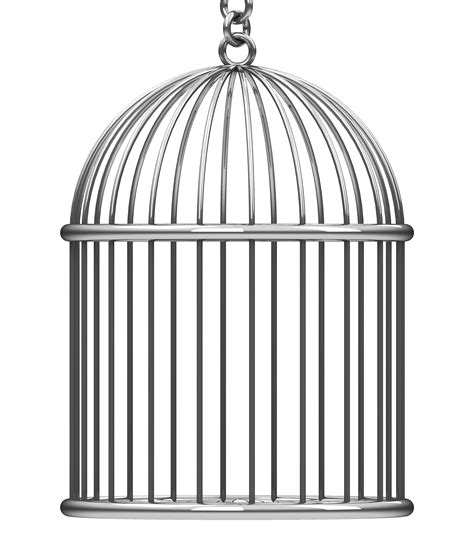 Birdcage Png