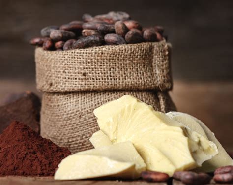 Organic Cacao Butter Buy in Bulk from Food to Live