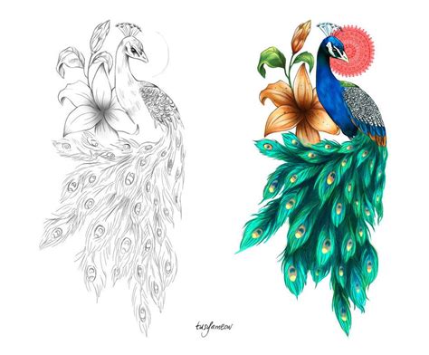 Colorful Peacock Tattoo Drawing