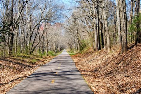 Biking the Swamp Rabbit Trail With Kids — Simply Awesome Trips