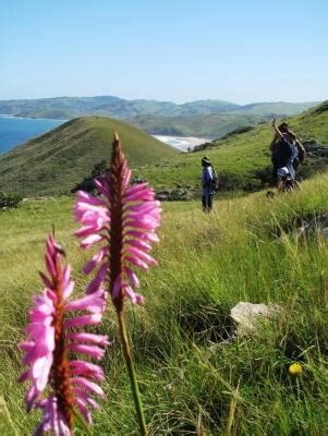 Wild Coast Hiking Trails