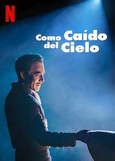 Como caído del cielo Netflix movie - Movies-Net.com